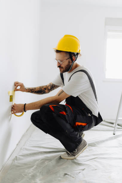 Best Drywall Removal and Disposal  in Marquette Heights, IL